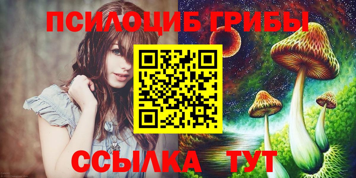 Псилоцибиновые грибы Psilocybe Камень-на-Оби