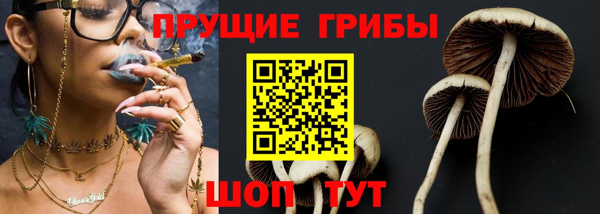 Камень-на-Оби  Псилоцибиновые грибы GOLDEN TEACHER  Вход с VPN  Галлюциногенные грибы MAGIC MUSHROOMS 
